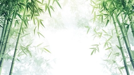 Fototapeta premium Lush green bamboo forest with sunlight.