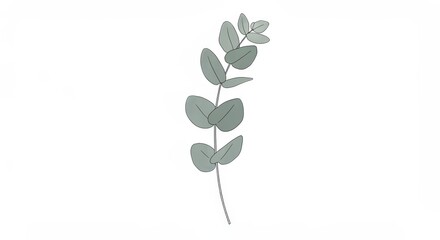 Simple white euclyptus sprig in clean minimal style