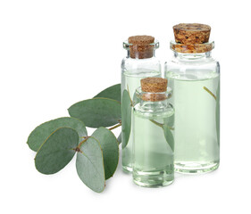 Bottles of essential oil and eucalyptus leaves isolated on white