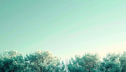 Serene nature scene tranquil forest landscape photography open air eye level peaceful atmosphere