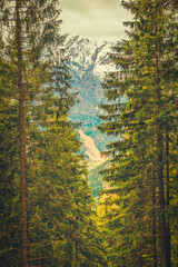 Spectacular Mountain Landscape of Kranjska Gora, Slovenia – Snow-Capped Peaks, Colorful Autumn Forests, and Tranquil Atmosphere