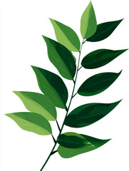 Fototapeta premium A leafy green plant with a long stem