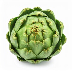 Fototapeta premium Fresh Green Artichoke Close-Up for Culinary Use