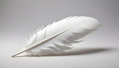 Obraz premium A close-up shot of a pristine, white feather casting a soft shadow on a gray backdrop.