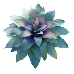 Obraz premium Vibrant Bromeliad Flower with Dew Drops - Top View