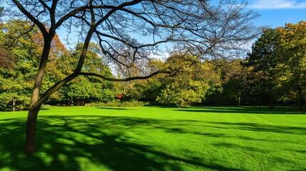 Obraz premium Tranquil Green Landscape with Leafy Trees and Clear Blue Sky