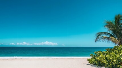 Fototapeta premium Tropical beach paradise with palm trees and turquoise waters