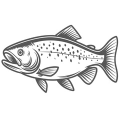 Apache Trout Illustration - Oncorhynchus apache