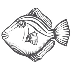 Stylized Blue Jaw Triggerfish Illustration