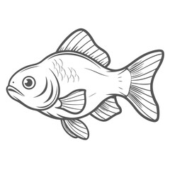 Crucian Carp Line Art Illustration, Isolated