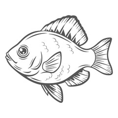 Green Sunfish Line Art Illustration, Lepomis cyanellus