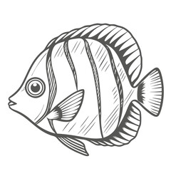 Klein's Butterflyfish Line Art Illustration