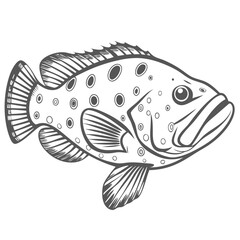Panther Grouper Line Art Illustration Vector