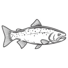 Masu Salmon Line Art Illustration