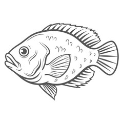 Warmouth Fish Line Art Vector Illustration