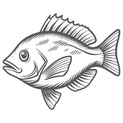 Vermilion Snapper Line Art Illustration