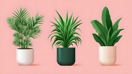 Fototapeta premium Lush green potted houseplants in modern decorative pots for interior decor