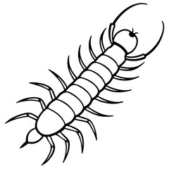 Obraz premium lobster vector illustration