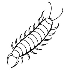 lobster vector illustration