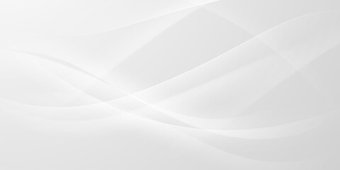 gray and white abstract background modern vector illustration