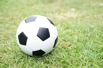 Obraz premium Football, soccer ball on green grass field background. Concept, Sport equipment. sport, workout, exercise for health. Hobby. Football match. 