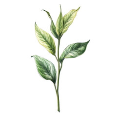 A detailed, digitally rendered illustration of a tea plant sprig, showcasing lush green leaves and a thin stem against a muted green background.