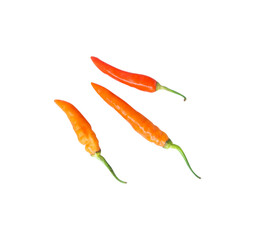 red hot chili peppers on white background