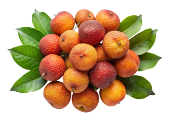 Beautiful topdown view of Strawberry Tree fruits, also known as Arbutus unedo