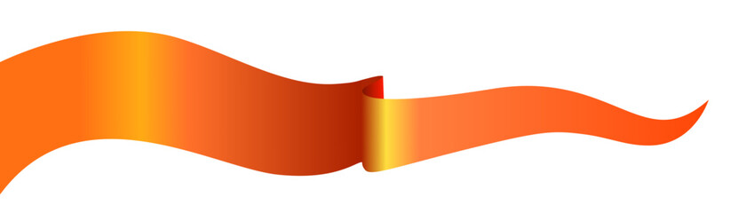 A Long Bhagwa (Orange) Sanatani Hindu Flag