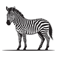 A zebra Vector Black silhouettes. with white background art illustration