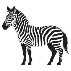 A zebra Vector Black silhouettes. with white background art illustration