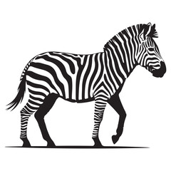 A zebra Vector Black silhouettes. with white background art illustration