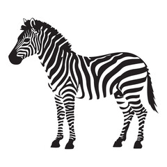 A zebra Vector Black silhouettes. with white background art illustration