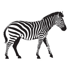 A zebra Vector Black silhouettes. with white background art illustration