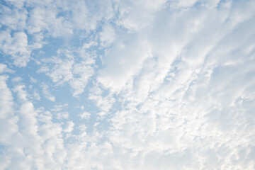 Sky Blue,Cloud Background,Horizon Summer, landscape nature sunrise in Winter,Spring panorama banner.