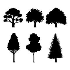 Set of drawings of trees. Black silhouette. Vector illustration