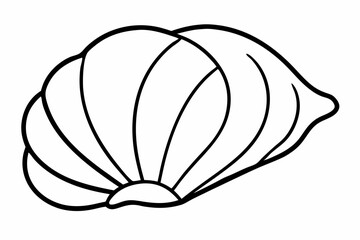 Single Sea Shell Line Art Vector Illustration