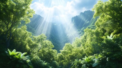 Lush, vibrant rainforest valley bathed in sunlight. Sunlight streams through the dense foliage, illuminating a deep valley nestled between towering mountains.  The greenery is rich and vibrant,