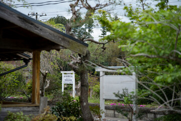 小湊鐵道　養老渓谷駅の風景
