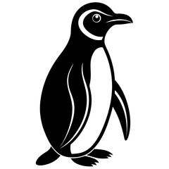 penguin vector on tranparent background