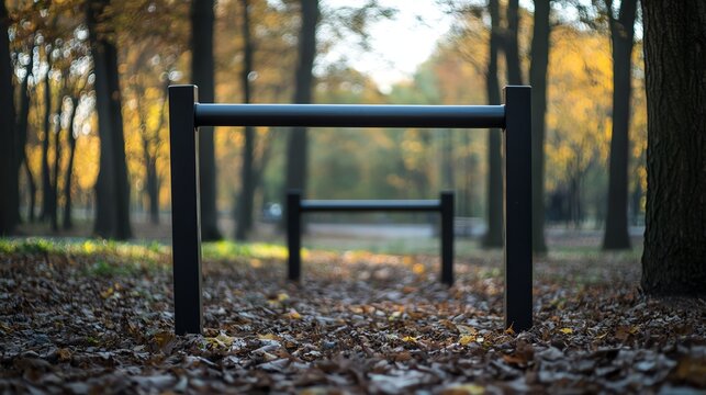 Parallel bars in an outdoor park surrounded by autumn trees and fallen leaves.