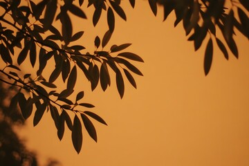 Silhouette of leaves against a warm sunset background Peaceful nature scene perfect for relaxation themes