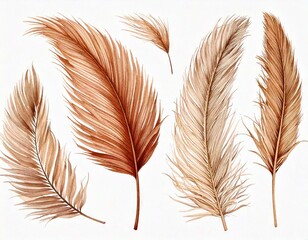 Fototapeta premium Watercolor tropical set with dry dried boho palm leaves and pampas grass. Hand painted exoti