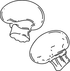 mushrooms Line Art Illustration &ndash; Hand Drawn Vegetable Sketch