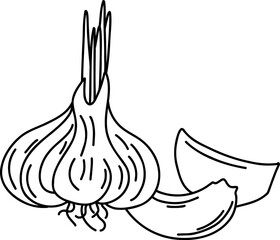 Garlic Line Art Illustration &ndash; Hand Drawn Vegetable Sketch