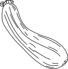 zucchini Line Art Illustration &ndash; Hand Drawn Vegetable Sketch