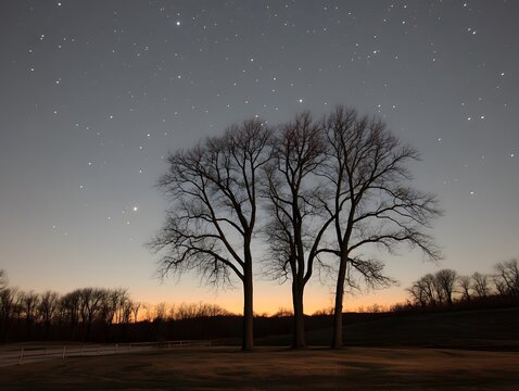 Two Silhouetted Trees Under a Starry Night Sky at Sunset Peaceful and Serene Nighttime Landscape