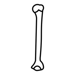 Styloid Process icon