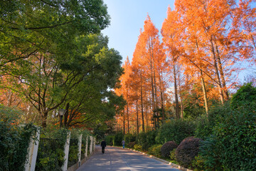 中国 上海市、上海人民公園