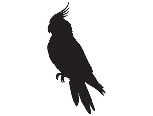 COCKATIEL SILHOUETTE WHITE BACKGROUND